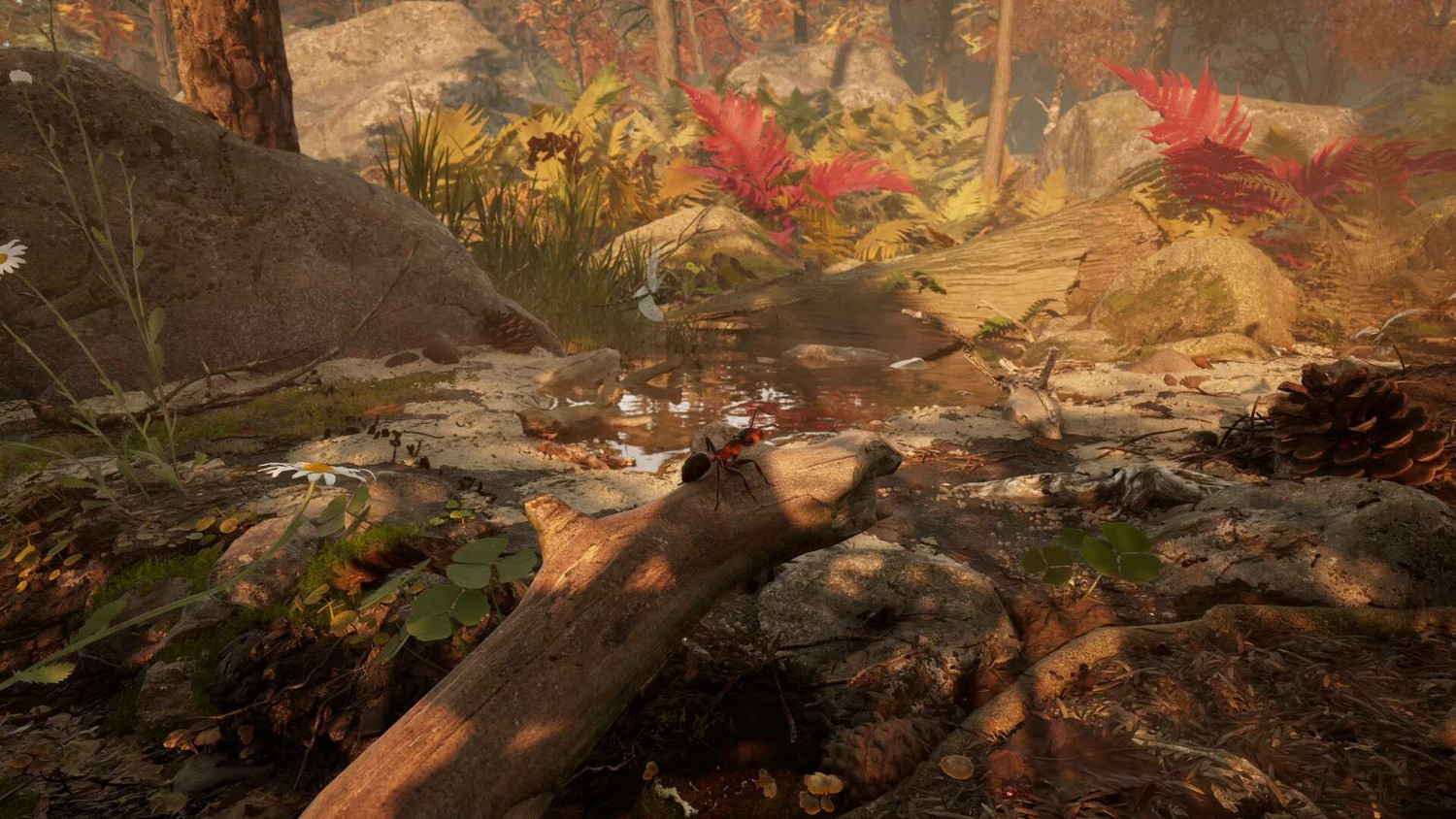 蟻人模擬遊戲《螞蟻帝國》即將發售:沉浸式森林爭霸戰 蟻人模擬遊戲《螞蟻帝國》即將發售:沉浸式森林爭霸戰