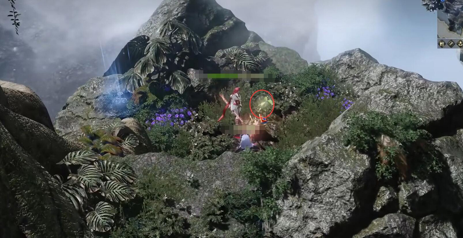 《命運方舟》大雨林摩可可種子收集攻略