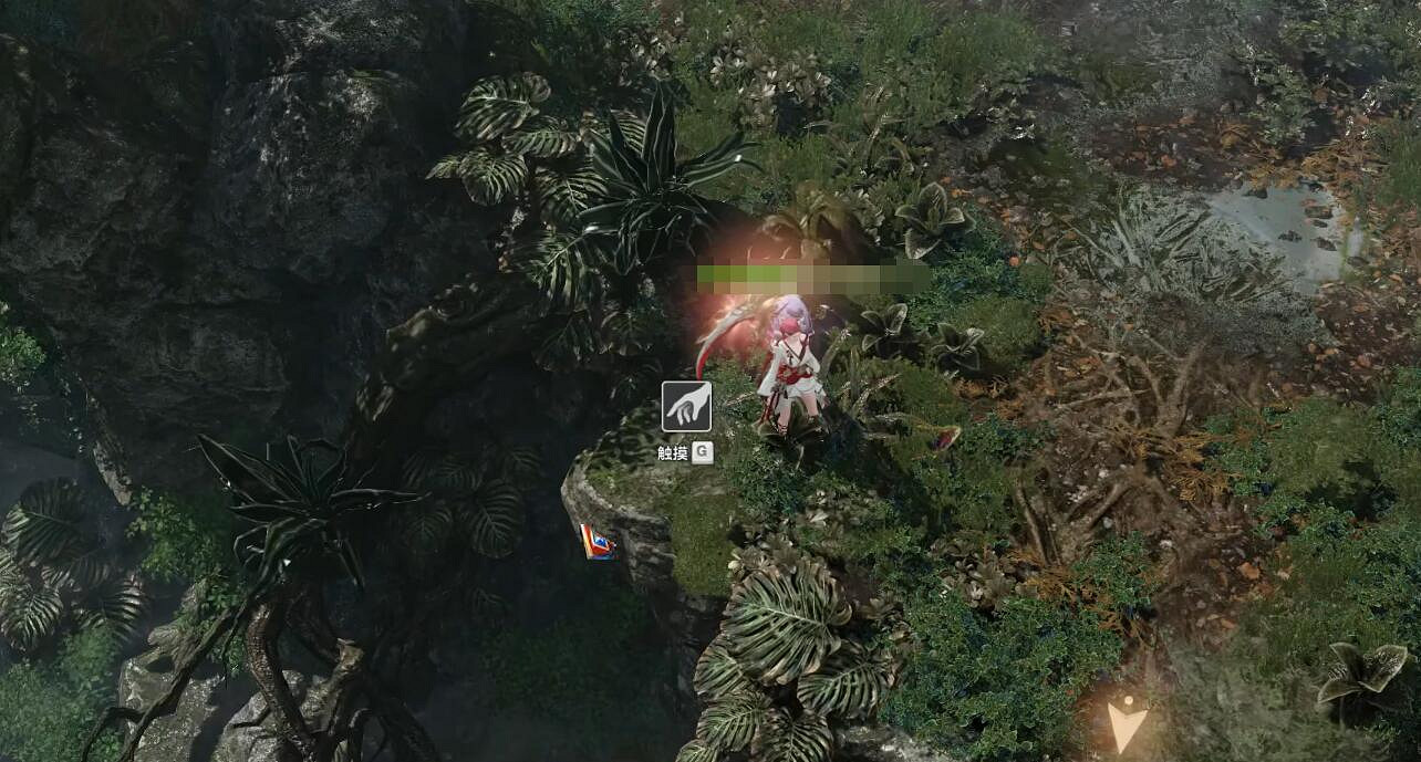 《命運方舟》大雨林摩可可種子收集攻略