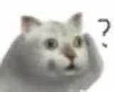 《瑪利歐》無DEI被IGN低分對待！不覺醒不是好遊戲？