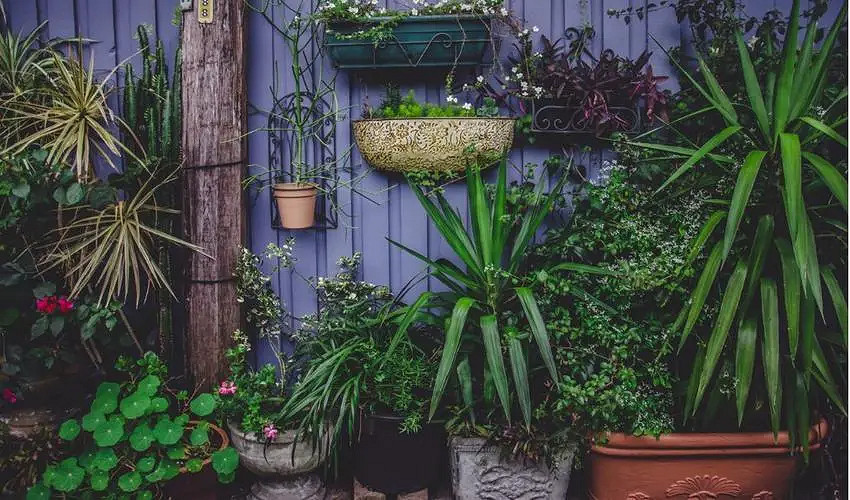 《英雄聯盟》2024最火的暱稱介紹 《英雄聯盟》2024最火的暱稱介紹