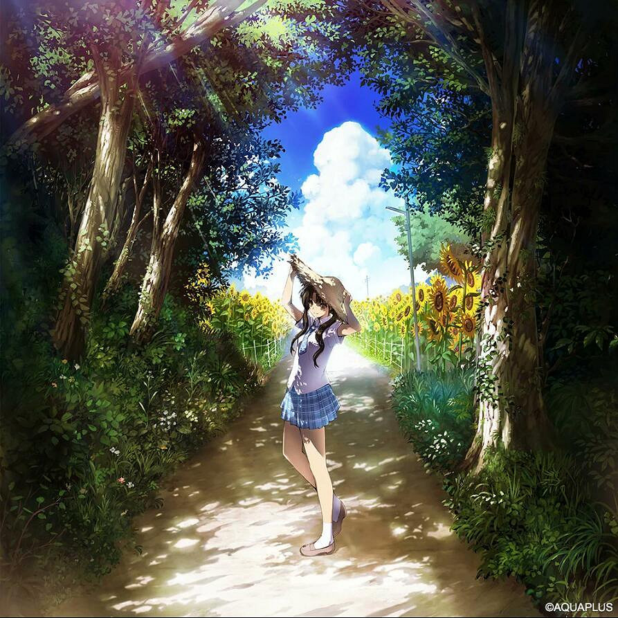 《白色相簿》畫師擔任人設！ADV《ジャスミン》重啟