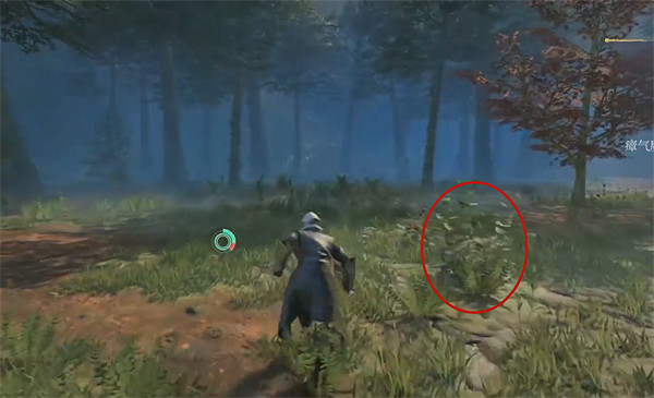 《霧鎖王國》刺蕁麻位置介紹 《霧鎖王國》刺蕁麻位置介紹