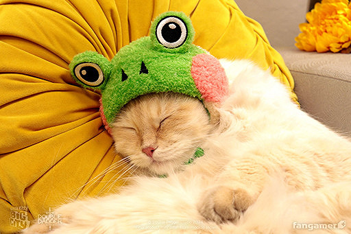 《小貓咪大城市》Switch發售 豪華版附贈貓用青蛙帽 《小貓咪大城市》Switch發售 豪華版附贈貓用青蛙帽