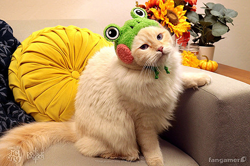 《小貓咪大城市》Switch發售 豪華版附贈貓用青蛙帽 《小貓咪大城市》Switch發售 豪華版附贈貓用青蛙帽