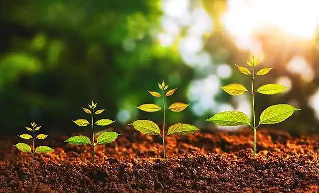 《英雄聯盟》一生好運暱稱霸氣大全