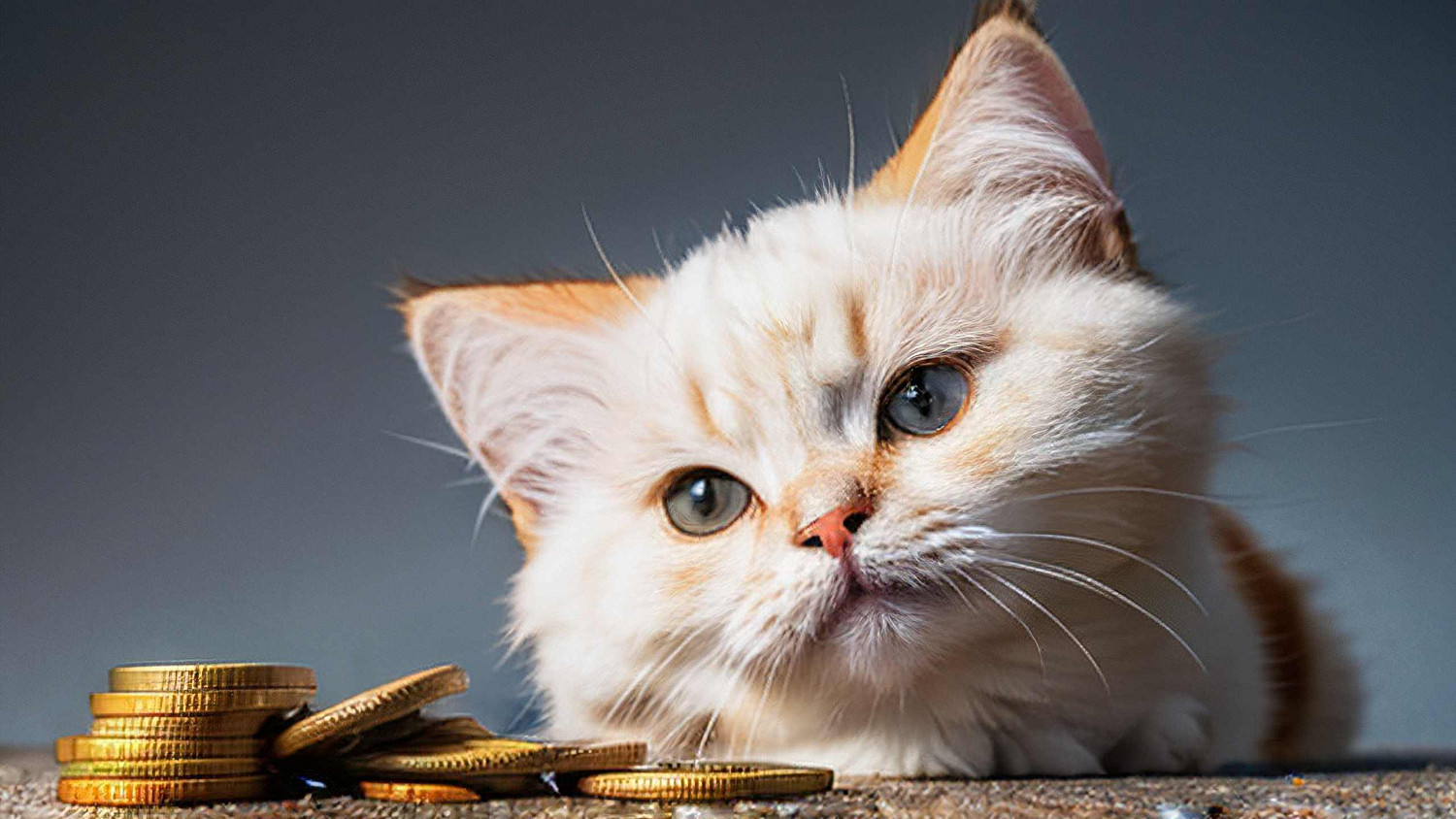 《英雄聯盟》給女人帶來好運的網名介紹 《英雄聯盟》給女人帶來好運的網名介紹