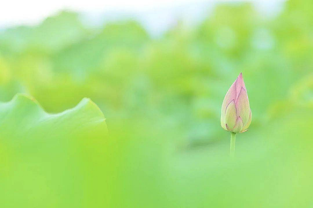 《英雄聯盟》一生好運暱稱霸氣大全