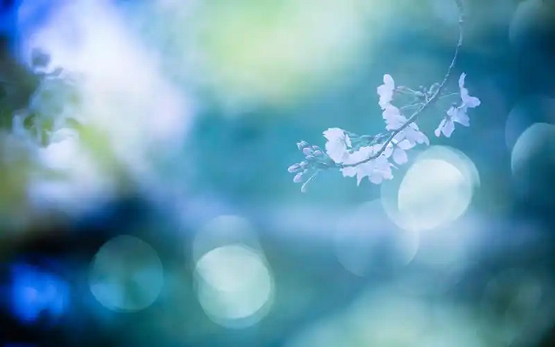 《英雄聯盟》女人淡然心靜唯美網名匯總