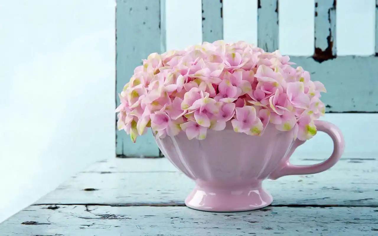 《英雄聯盟》一看就暖心的暱稱大全 《英雄聯盟》一看就暖心的暱稱大全