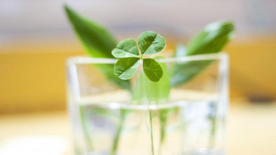 《英雄聯盟》一生好運暱稱霸氣大全