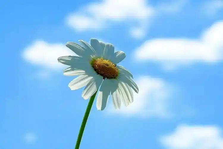 《英雄聯盟》女人淡然心靜唯美網名匯總