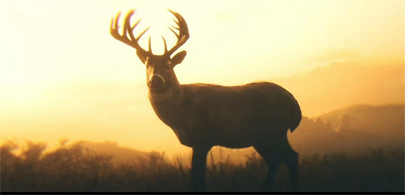 氛圍感的塑造——遊戲故事的靈魂