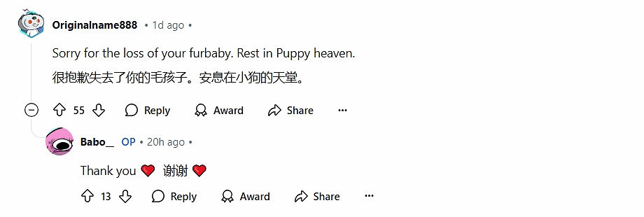 《魔物獵人》玩家痛失愛犬 但在遊戲中尋得永恒陪伴 《魔物獵人》玩家痛失愛犬 但在遊戲中尋得永恒陪伴