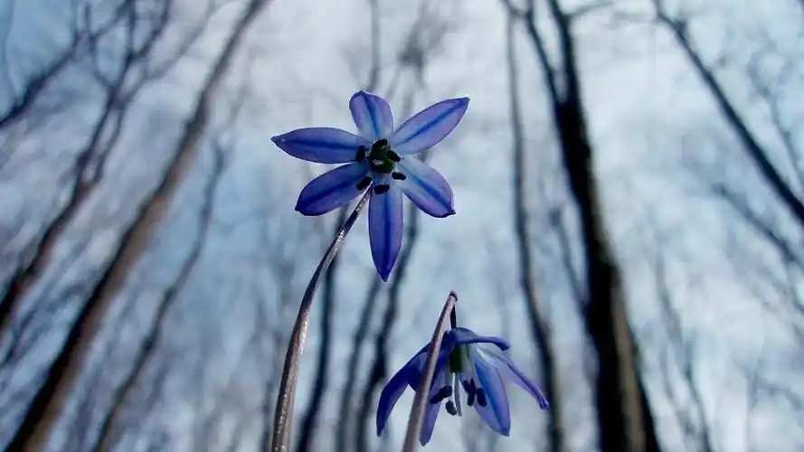 《英雄聯盟》時尚的名字大全