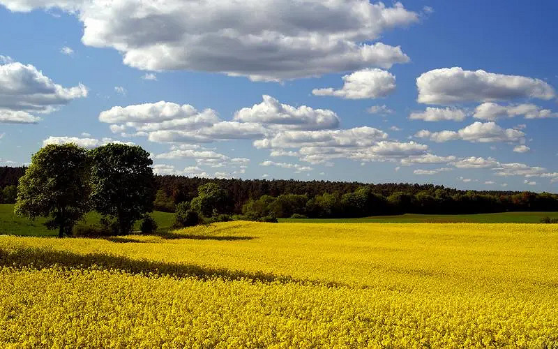 《英雄聯盟》時尚的名字大全