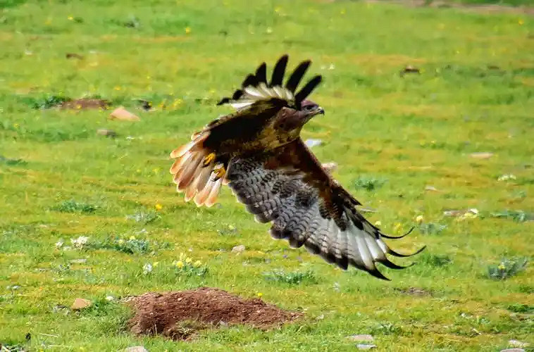 《英雄聯盟》最狠的網名大全