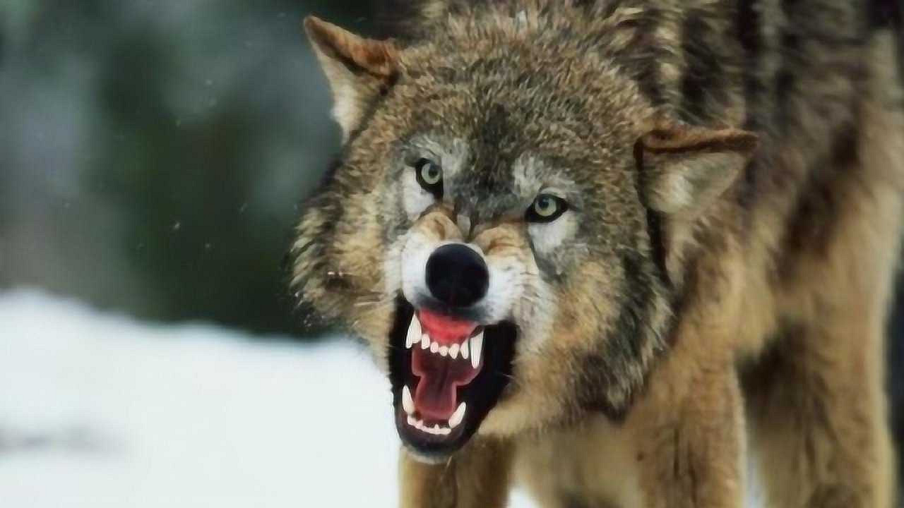 《英雄聯盟》最狠的網名大全