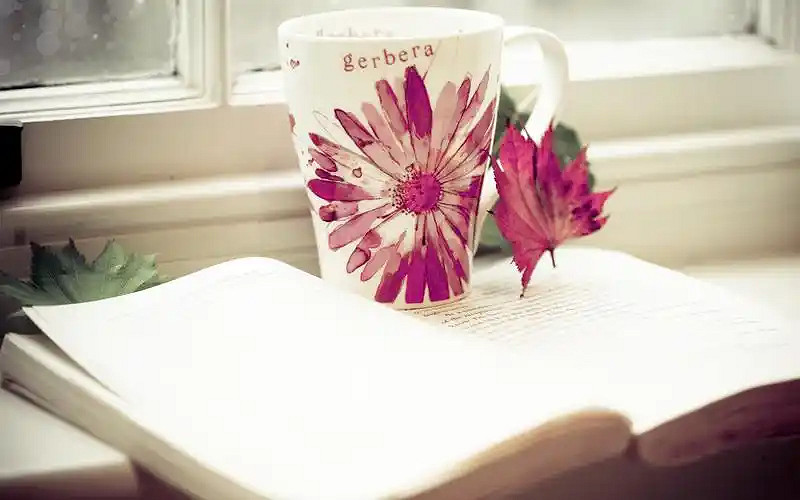 《英雄聯盟》好聽的小清新網名匯總