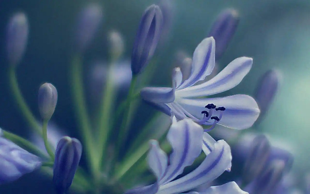 《英雄聯盟》好聽的小清新網名匯總