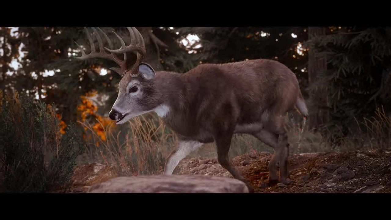 《模擬狩獵3》曝正式預告 體驗前所未有的狩獵快感! 《模擬狩獵3》曝正式預告 體驗前所未有的狩獵快感!