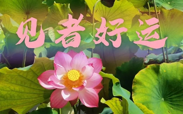 2025最順利的網名詳細推薦