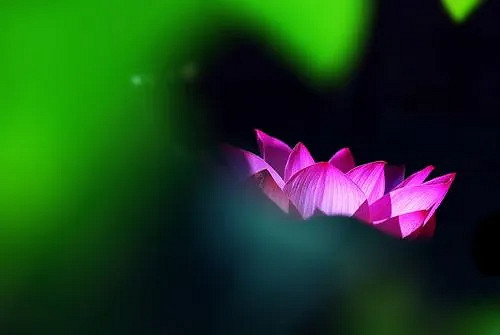 2025最順利的網名詳細推薦