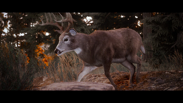 開放世界模擬狩獵遊戲《狩獵模擬3》上線Steam頁面！