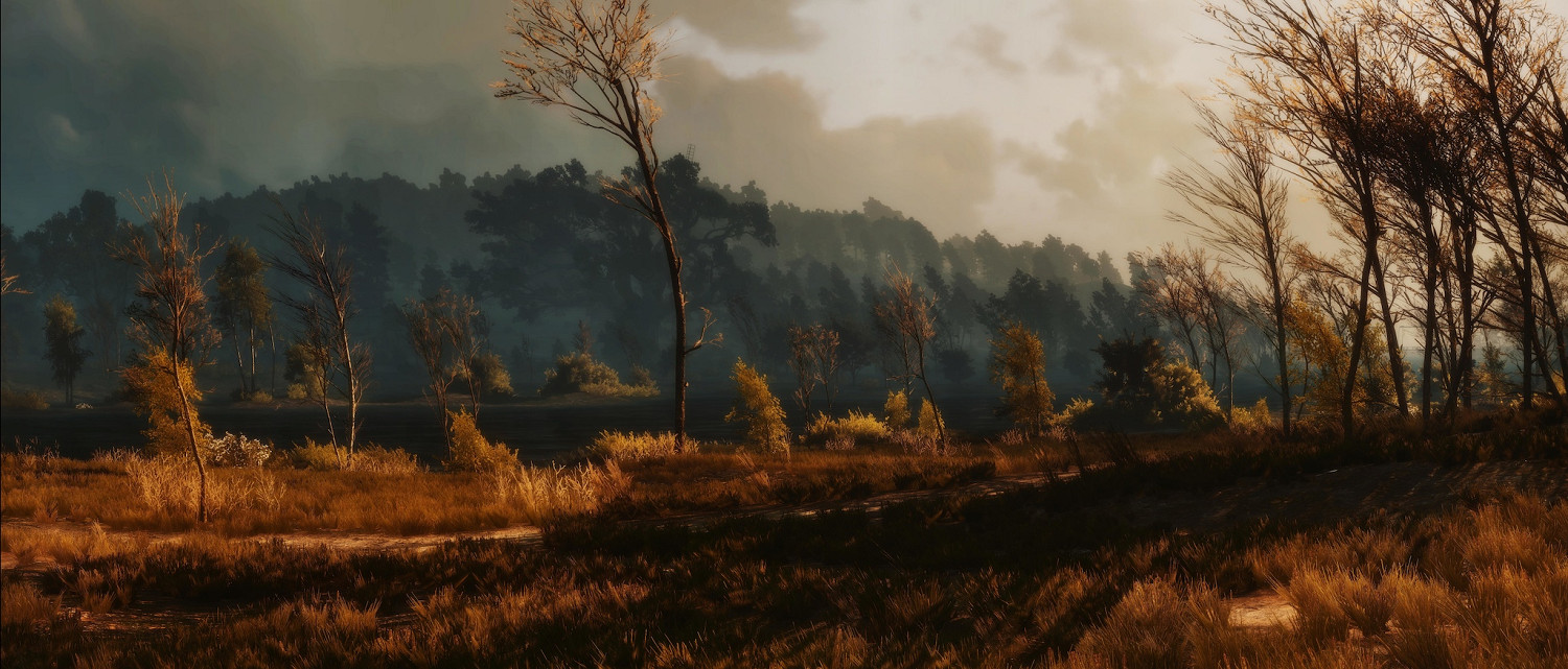 CPDR表示《巫師：重製版》目前開發順利 玩家只需等待