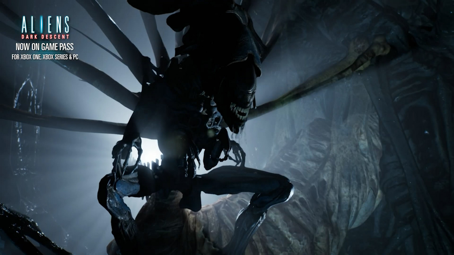 《異形:墜入黑暗》現已加入Game Pass!預告片欣賞 《異形:墜入黑暗》現已加入Game Pass!預告片欣賞