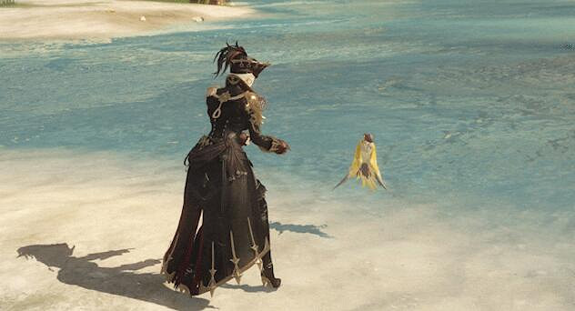 《命運方舟》黑帆迷蹤外觀一覽 《命運方舟》黑帆迷蹤外觀一覽