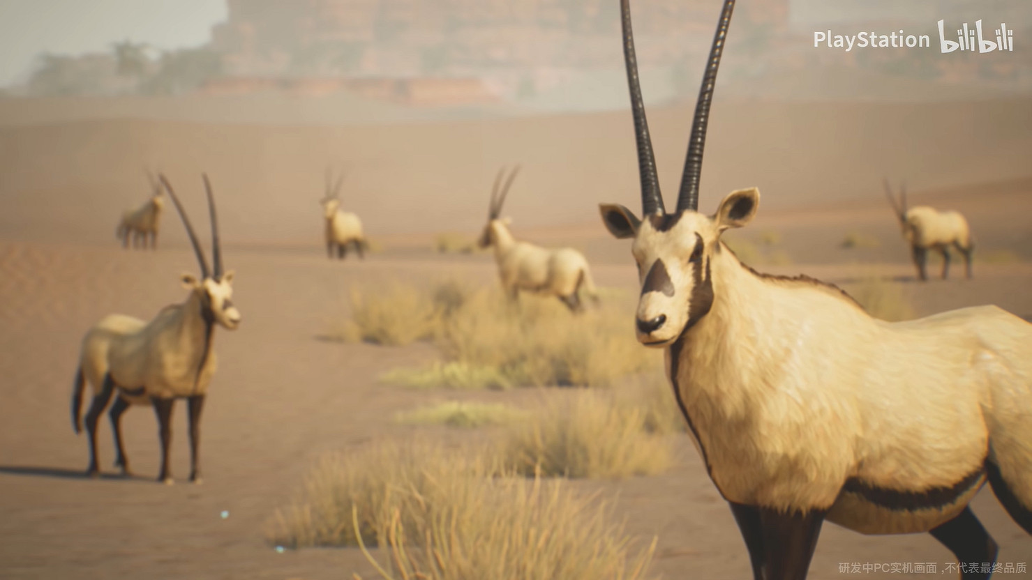 PlayStation中國官方公開《荒野起源》首支宣傳片! PlayStation中國官方公開《荒野起源》首支宣傳片!