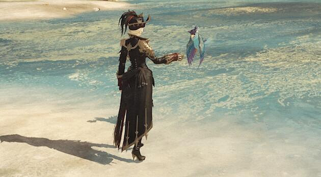 《命運方舟》黑帆迷蹤外觀一覽 《命運方舟》黑帆迷蹤外觀一覽