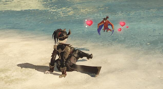 《命運方舟》黑帆迷蹤外觀一覽 《命運方舟》黑帆迷蹤外觀一覽