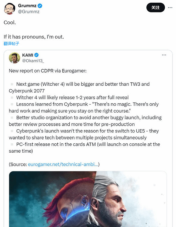 《巫師4》最新消息透露 網友希望其別受DEI元素影響