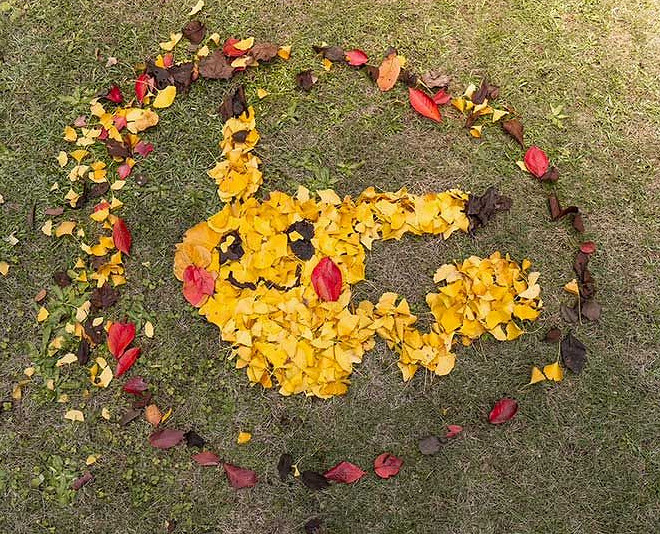 玩家用落葉創意打造寶可夢皮卡丘 抽象還原度引熱讚 玩家用落葉創意打造寶可夢皮卡丘 抽象還原度引熱讚