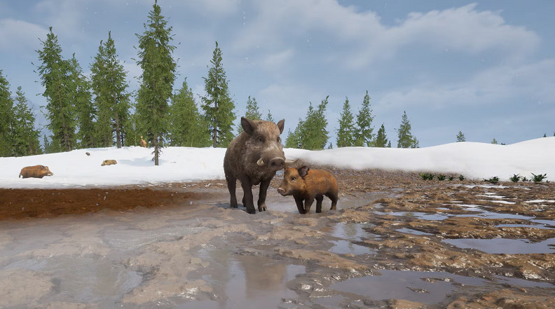 野豬也有模擬器?開放世界《wild Terrain》上線Steam 野豬也有模擬器?開放世界《wild Terrain》上線Steam