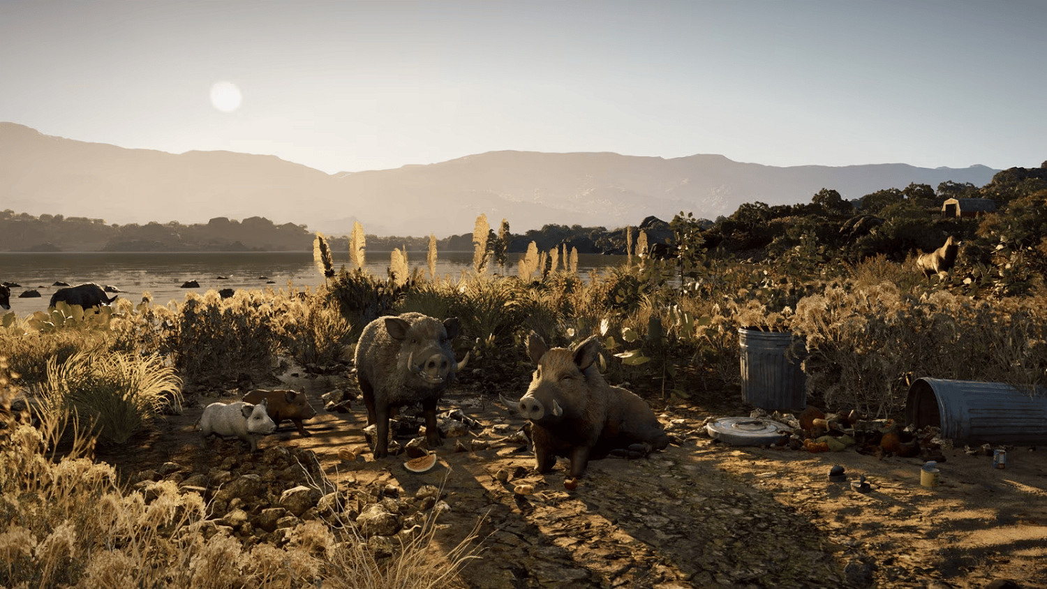 野豬也有模擬器?開放世界《wild Terrain》上線Steam 野豬也有模擬器?開放世界《wild Terrain》上線Steam