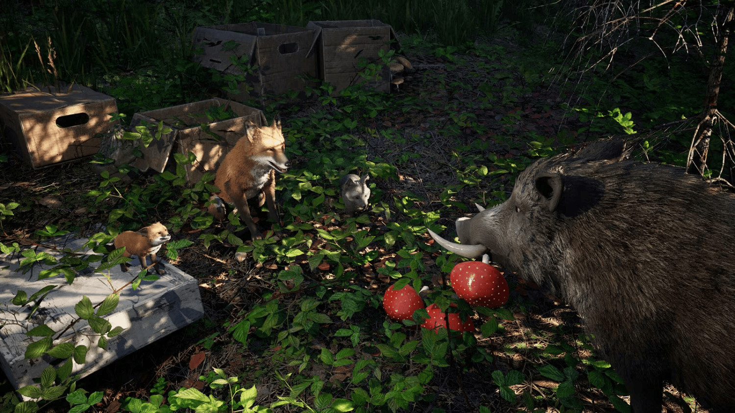 野豬也有模擬器?開放世界《wild Terrain》上線Steam 野豬也有模擬器?開放世界《wild Terrain》上線Steam