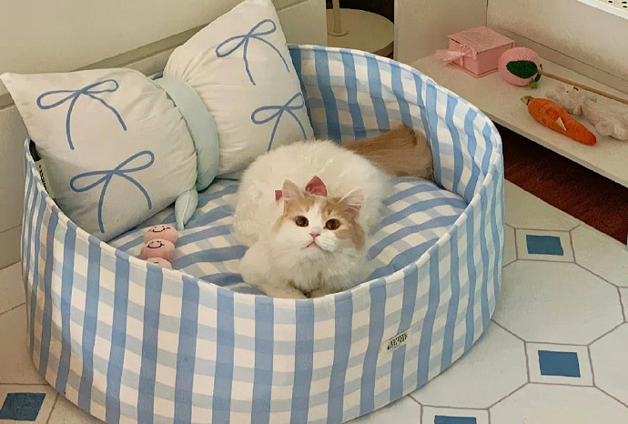 《英雄聯盟》希望一切順利的網名大全 《英雄聯盟》希望一切順利的網名大全