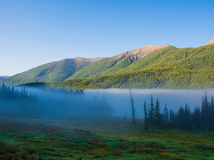 《英雄聯盟》取一個獨一無二的網名女生霸氣