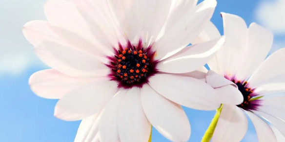 《英雄聯盟》改個運氣好的2025年五十歲網名一覽 《英雄聯盟》改個運氣好的2025年五十歲網名一覽