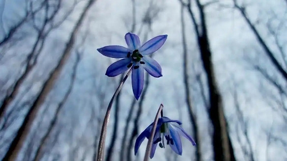 《英雄聯盟》改個運氣好的2025年五十歲網名一覽 《英雄聯盟》改個運氣好的2025年五十歲網名一覽