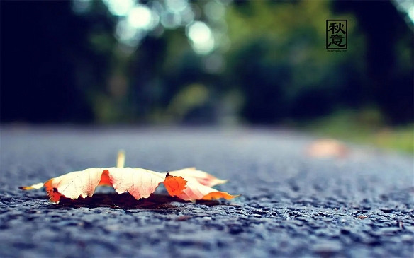 《英雄聯盟》改個運氣好的2025年五十歲網名一覽 《英雄聯盟》改個運氣好的2025年五十歲網名一覽