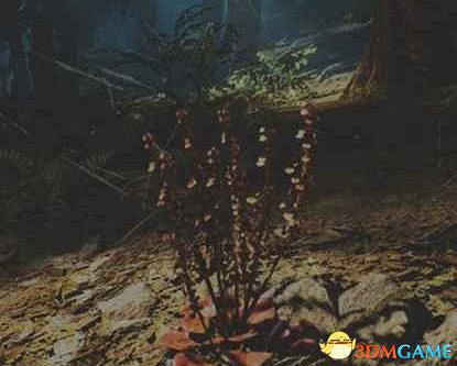 《往日不再》圖文白金攻略 全支線任務全收集攻略