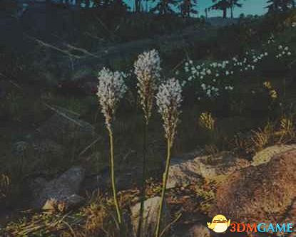 《往日不再》圖文白金攻略 全支線任務全收集攻略