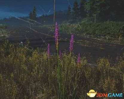 《往日不再》圖文白金攻略 全支線任務全收集攻略