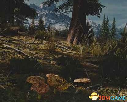 《往日不再》圖文白金攻略 全支線任務全收集攻略