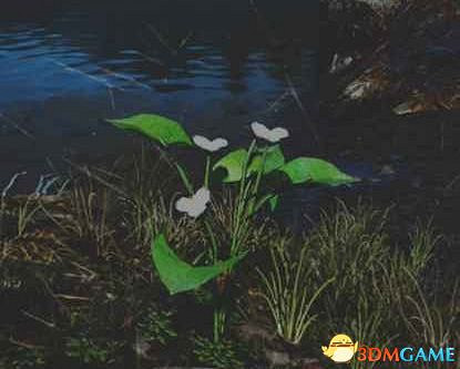 《往日不再》圖文白金攻略 全支線任務全收集攻略