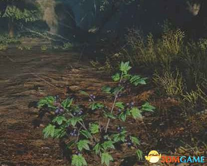 《往日不再》圖文白金攻略 全支線任務全收集攻略